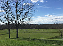 Valley View Farm - Cross-Country Field