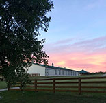 Valley View Farm - Arena at Sunset