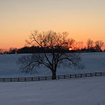 Valley View Farm - Winter Sunset