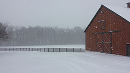 Valley View Farm - Winter Barn