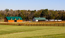 Valley View Farm - Field