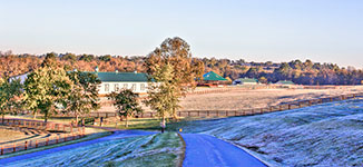 Valley View Farm - Frost 2