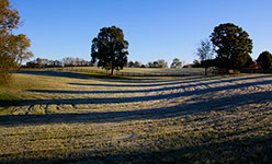Valley View Farm - Frost 3