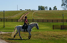 Valley View Farm - Rider
