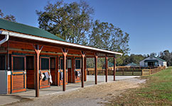 Valley View Farm - Shed Barn