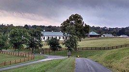 Valley View Farm - Approaching the Front Gate