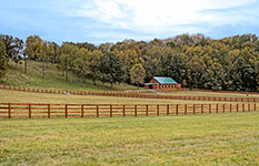 Valley View Farm - Paddock