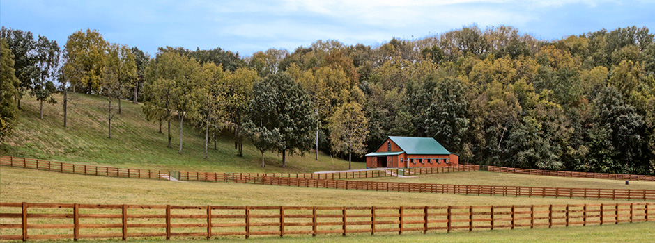 Valley View Farm